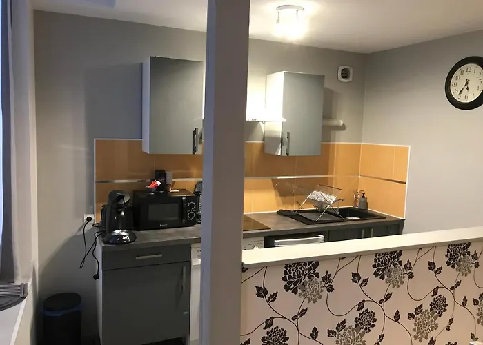 公寓 F2 De La Digue 默兹河畔凡尔登