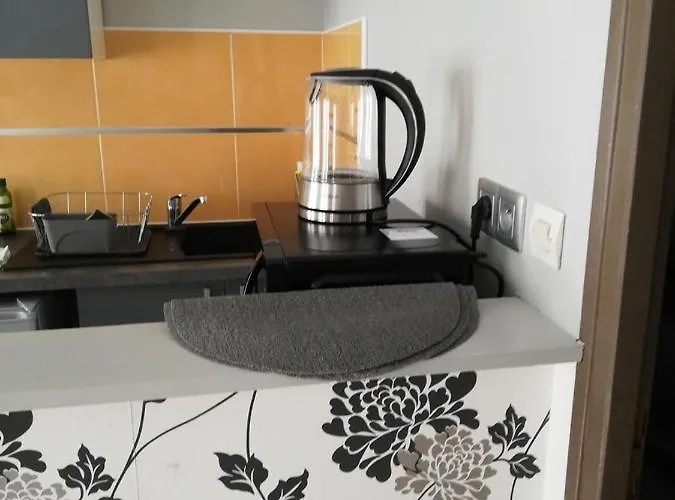 公寓 F2 De La Digue 默兹河畔凡尔登